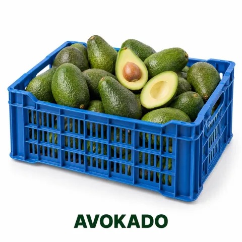 Avokado